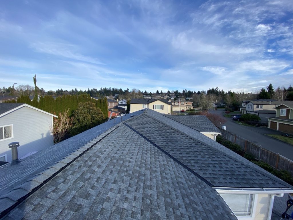 Insulation & Ventilation Education: Key to a Comfortable and Efficient Home